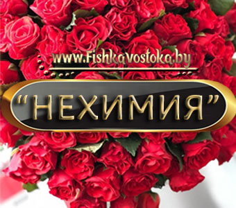 bytovye-tovary_1040340832