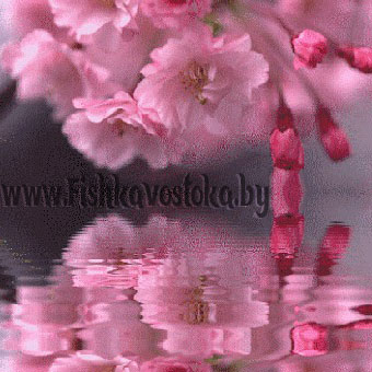 chistyaschie-sredstva_379231416