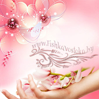 dlya-mytya-posudy