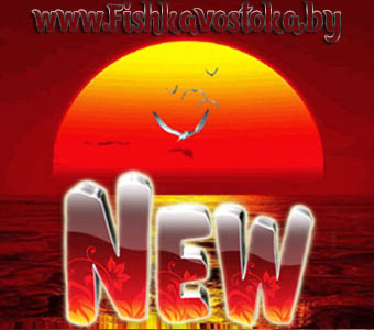 novinki_1555487249