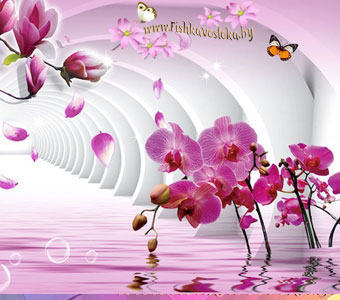 sredstva-dlya-stirki_1543770702