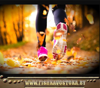 sustavy-i-myshtsy_1139825906