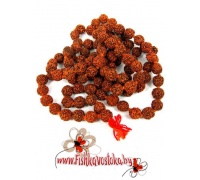 chetki-rudraksha-105-110-busin-12-mm-a-286