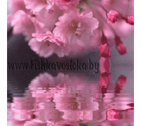chistyaschie-sredstva_379231416