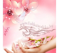 dlya-mytya-posudy