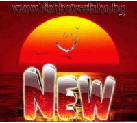 novinki_1555487249