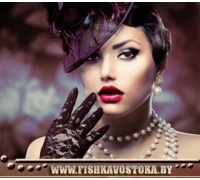 uchod-za-litcom_567837535