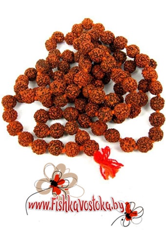 chetki-rudraksha-105-110-busin-12-mm-a-286